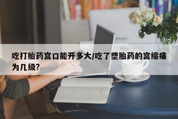 网上哪里买打胎药吃打胎药宫口能开多大/吃了堕胎药的宫缩痛为几级?