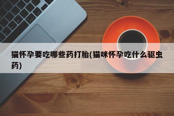 网上哪里买打胎药猫怀孕要吃哪些药打胎(猫咪怀孕吃什么驱虫药)