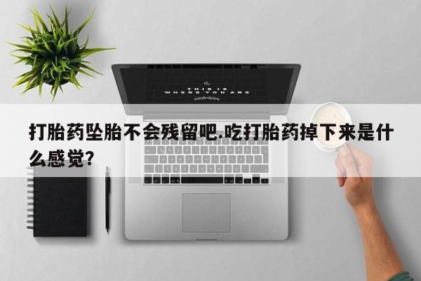 网上哪里买打胎药打胎药坠胎不会残留吧.吃打胎药掉下来是什么感觉？