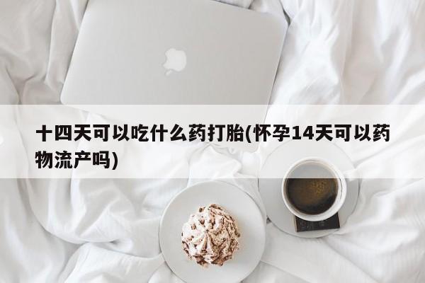 网上哪里买打胎药十四天可以吃什么药打胎(怀孕14天可以药物流产吗)