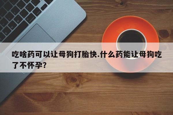 网上哪里买打胎药吃啥药可以让母狗打胎快.什么药能让母狗吃了不怀孕？